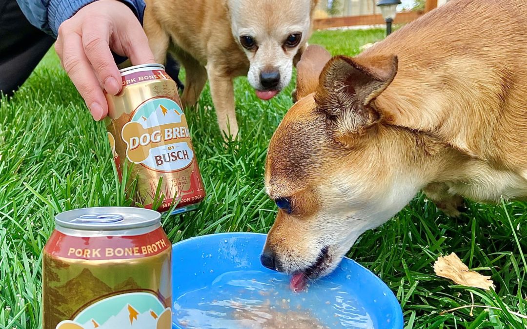 Dog Brew by BUSCH Review