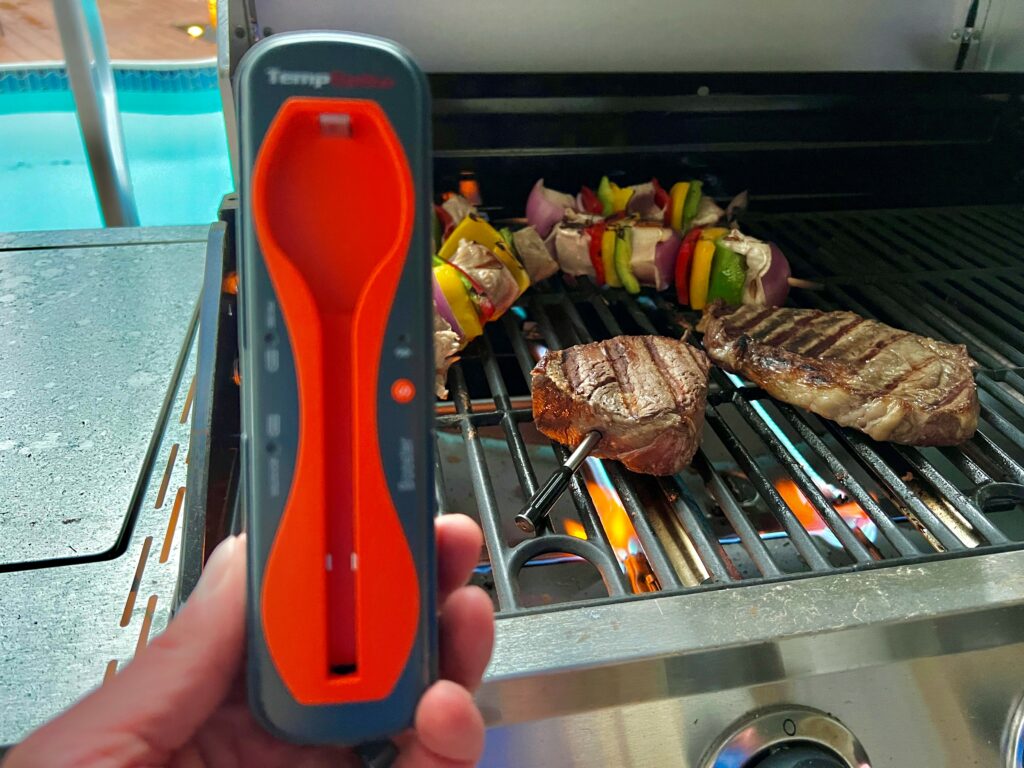 ThermoPro Twin TempSpike Review: A solid BBQ thermometer